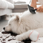 Dematting